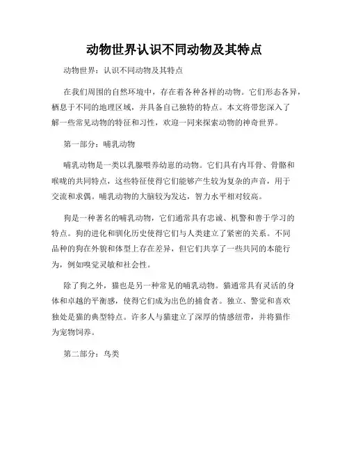 动物世界认识不同动物及其特点
