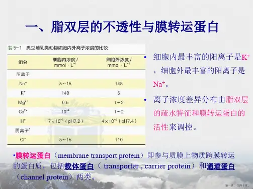 第五章-物质的跨膜运输
