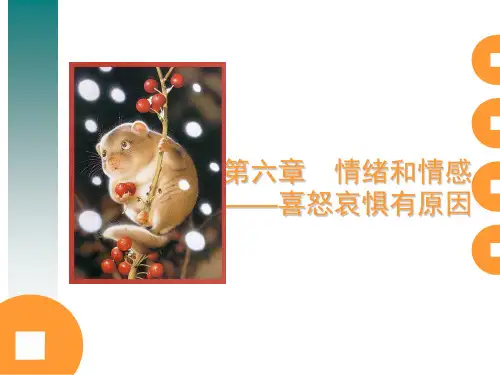 教师心理学第六章情绪和情感.