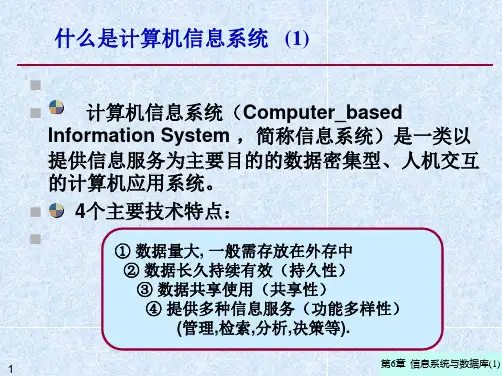   计算机信息系统