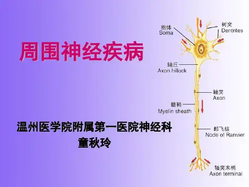 神经病学教学课件：周围神经疾病