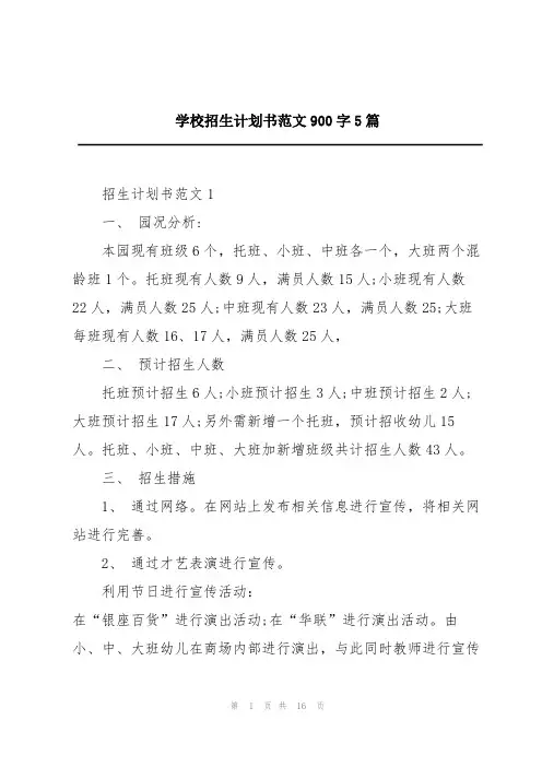 学校招生计划书范文900字5篇