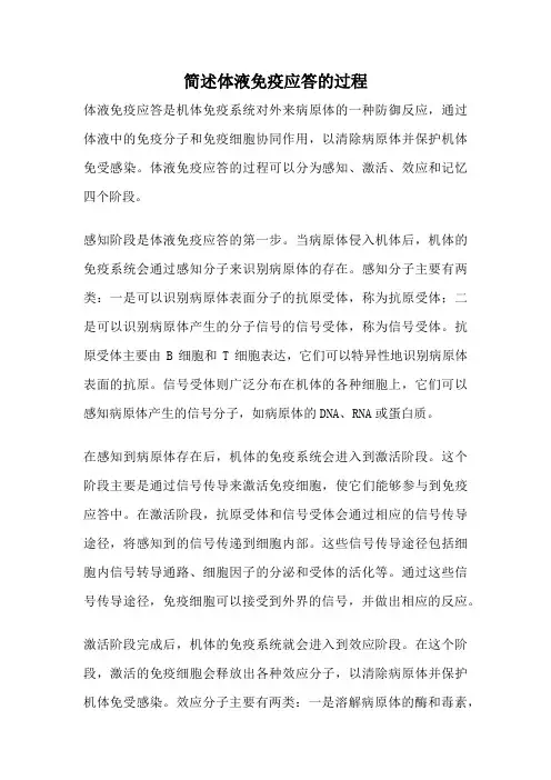 简述体液免疫应答的过程