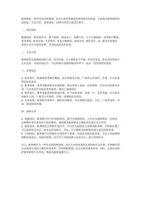 板栗树的景观绿化与园林应用探讨