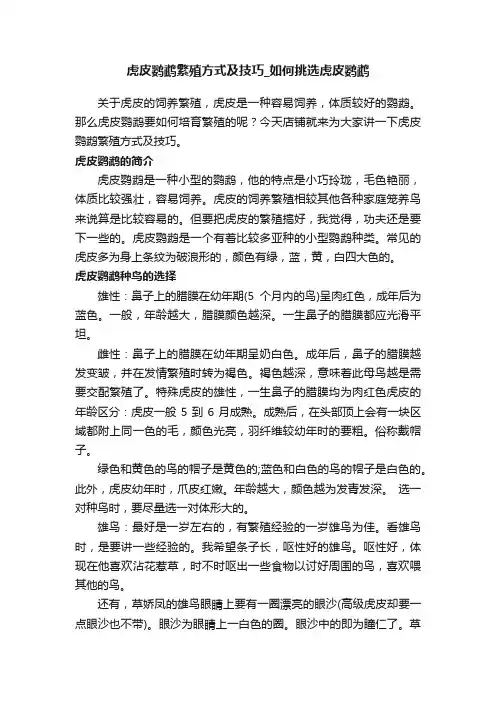 虎皮鹦鹉繁殖方式及技巧_如何挑选虎皮鹦鹉