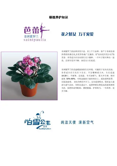 绿植养护知识