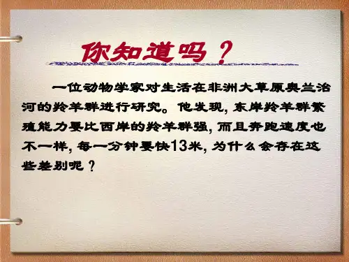 《我与地坛》ppt课件(35页)