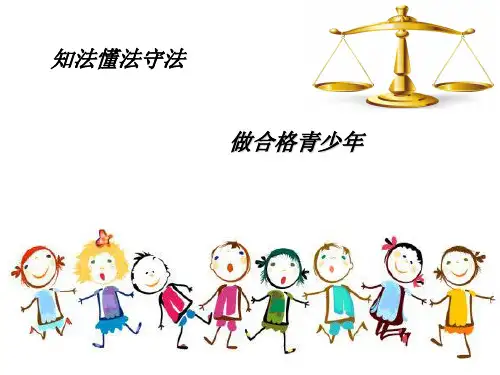 法制教育-PPT课件