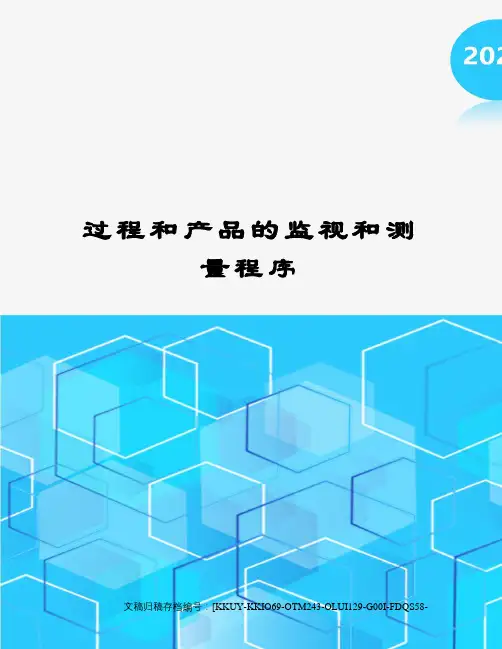 过程和产品的监视和测量程序