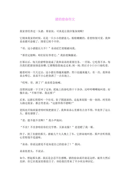 猪的宿命作文