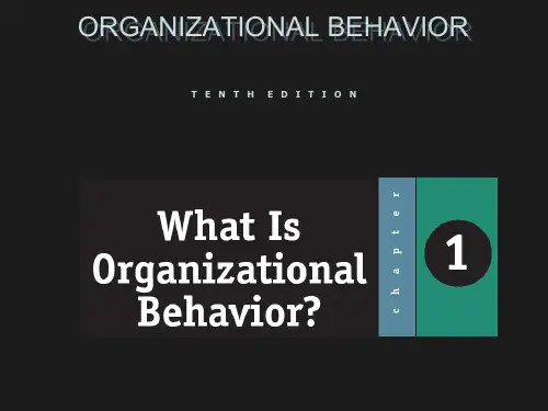组织行为学(ppt255页)(英文版).pptx