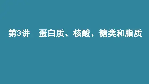 第3讲 蛋白质、核酸、糖类和脂质 2021版高考生物(北京)一轮复习
