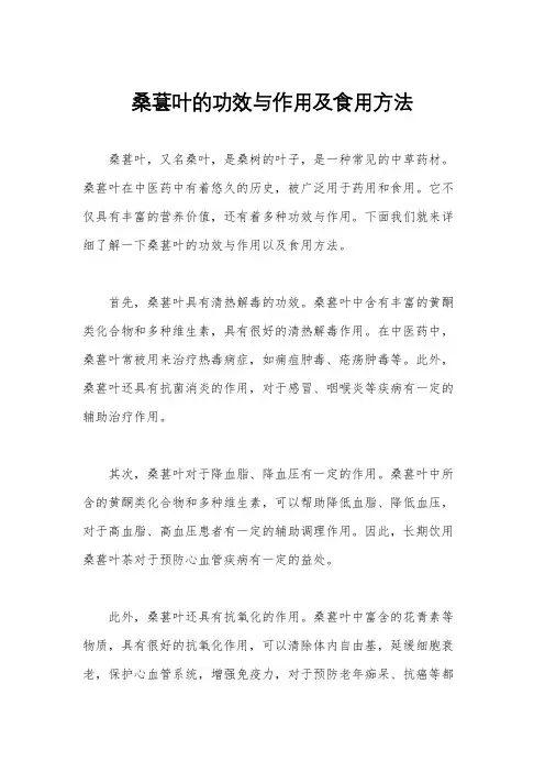 桑葚叶的功效与作用及食用方法