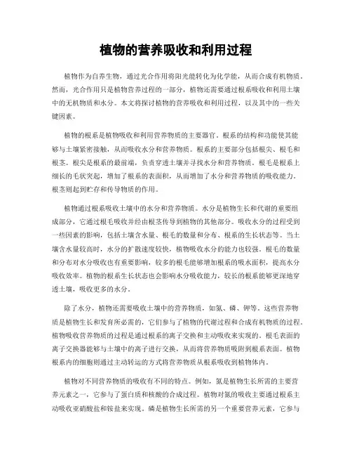 植物的营养吸收和利用过程