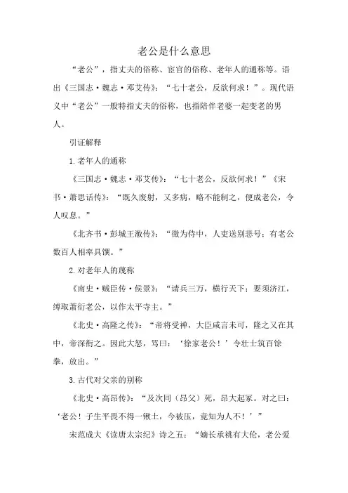 老公是什么意思