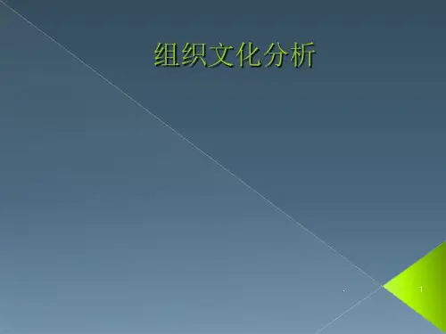 组织文化分析示例ppt课件