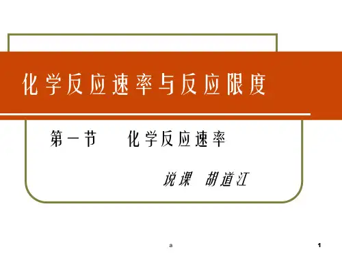 化学反应速率与反应限度