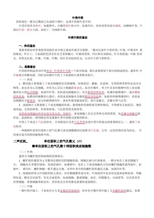 执业药师-中药鉴定-叶类中药的鉴定