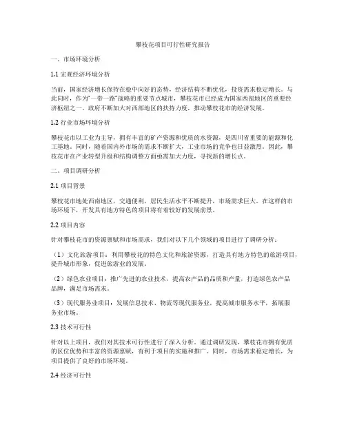 攀枝花项目可行性研究报告