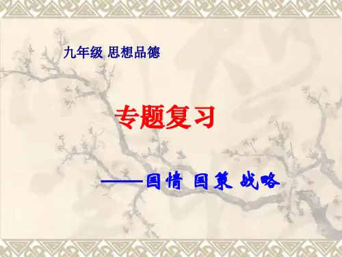 专题复习“国情国策战略”