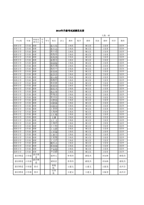 2010年小学升级成绩单空表(全乡)