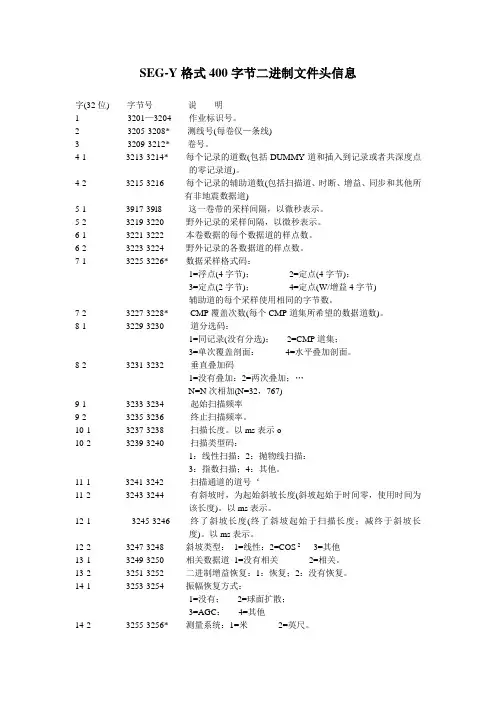 SGY文件格式