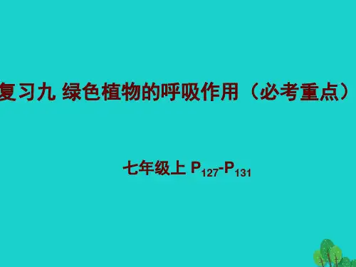 2020年中考生物复习9《植物体呼吸作用》