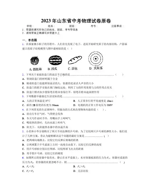 2023年山东省中考物理试卷原卷附解析