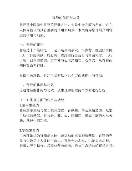 肾经的作用与功效