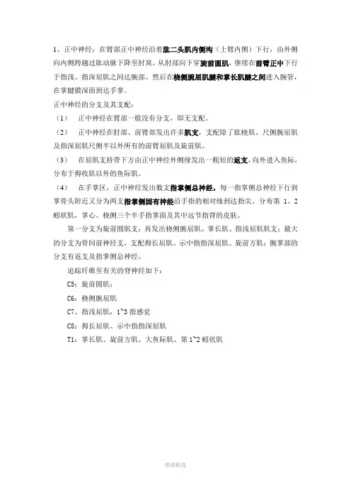 手部神经解剖