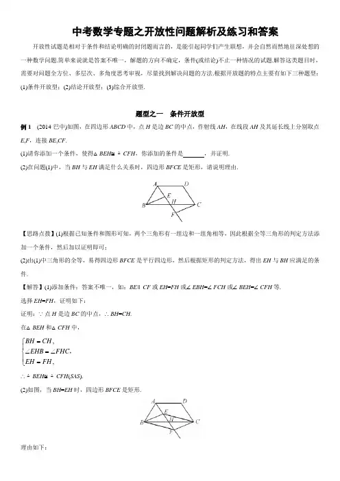 中考数学专题之开放性问题解析及练习和答案