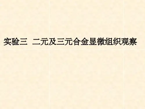 金属学实验七  二元三元合金显