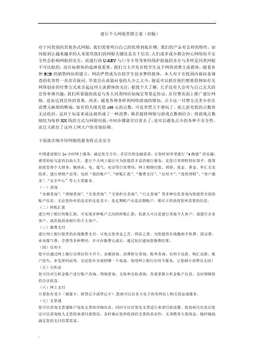 建行个人网银营销方案(初稿)