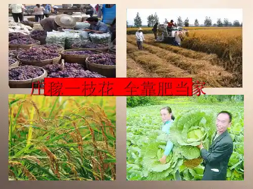 人教版初中化学九下11.2 化学肥料 课件 _10优秀课件