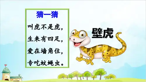【部编本】一年级下册《小壁虎借尾巴》课件完美版