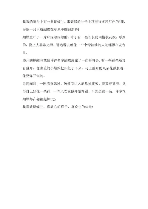 描写蝴蝶兰的外貌和特点作文