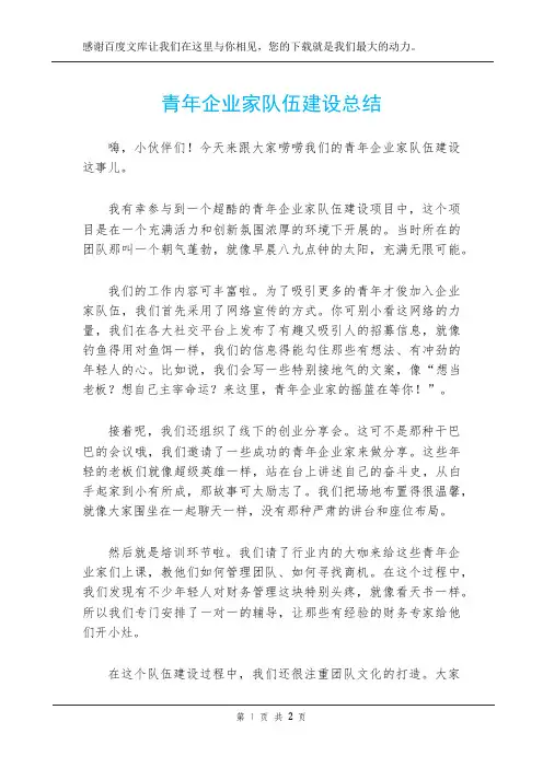 青年企业家队伍建设总结