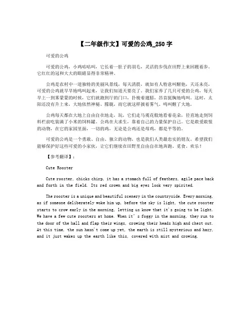 【二年级作文】可爱的公鸡_250字