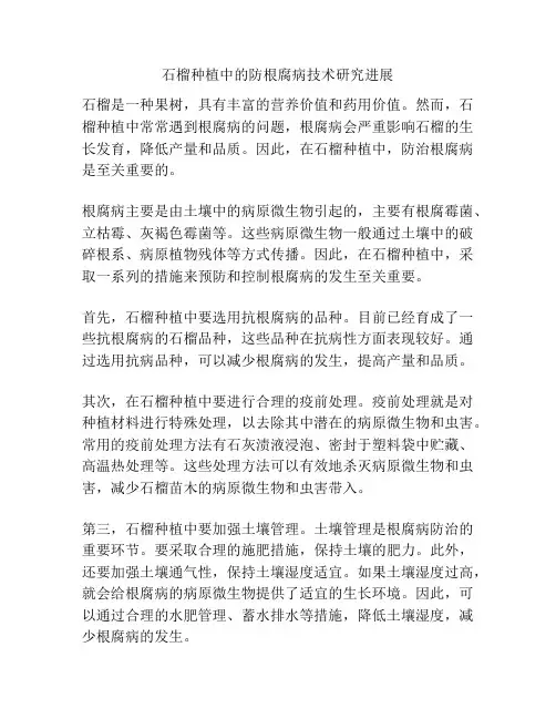 石榴种植中的防根腐病技术研究进展