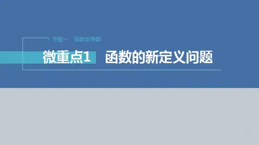 专题一 微重点1 函数的新定义问题