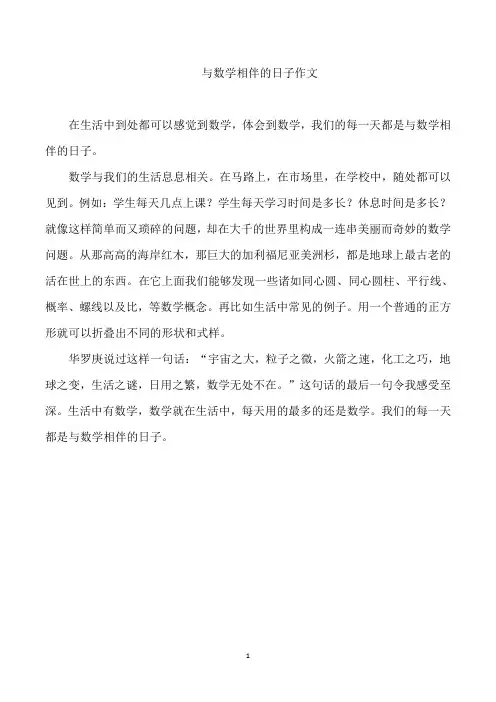 与数学相伴的日子作文