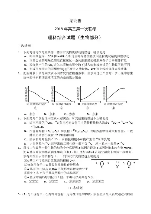 2018年湖北省鄂南高中高三第一次联考理科综合试题生物部分