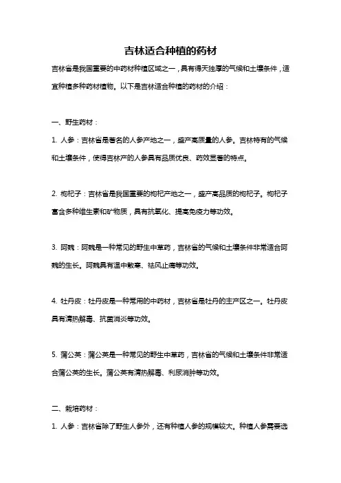 吉林适合种植的药材