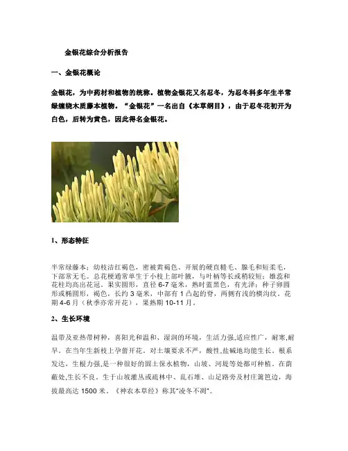 金银花种植投资综合分析报告_图文(精)