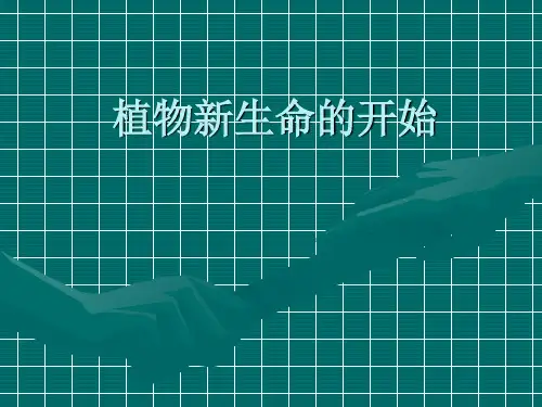 教科版科学三年级下册：1.1 植物新生命的开始 课件(共13张PPT)