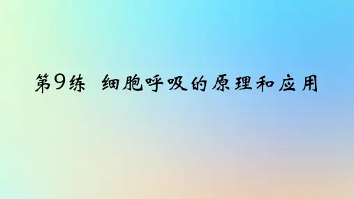 2025版高考生物一轮复习真题精练第三章细胞的能量供应和利用第9练细胞呼吸的原理和应用课件