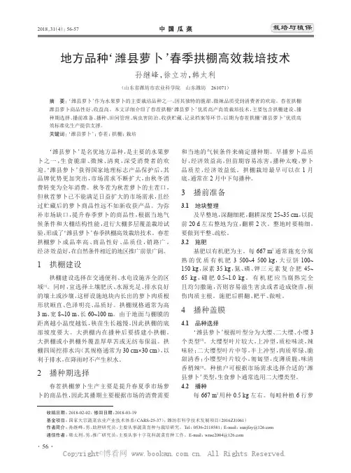 地方品种‘潍县萝卜’春季拱棚高效栽培技术
