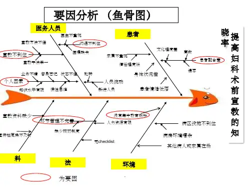 提高妇科术前宣教的知晓率鱼骨图ppt课件
