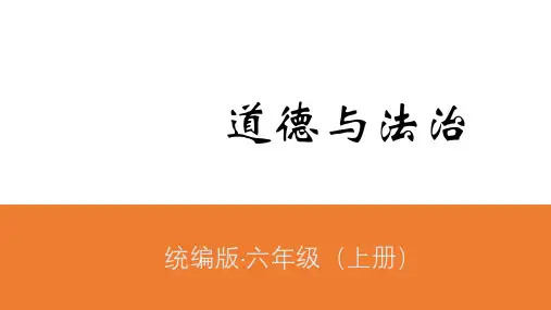 《公民意味着什么》一等奖公开课PPT1