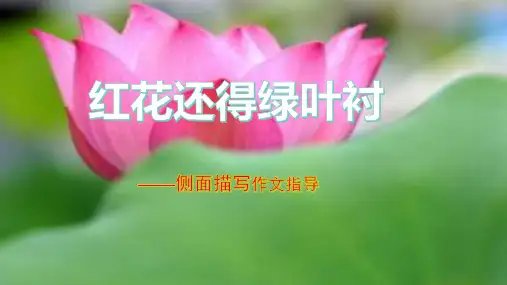 红花还得绿叶衬——侧面描写作文指导
